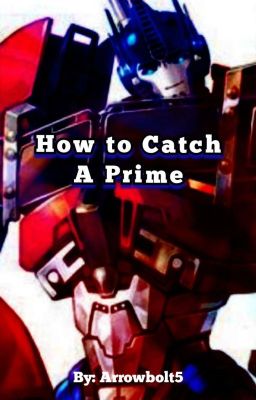 How To Catch A Prime cover