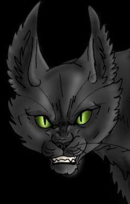 Curse of the Werecat cover