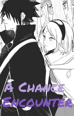 A Chance Encounter  cover