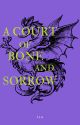 A Court of Bone and Sorrow by 4getmenever