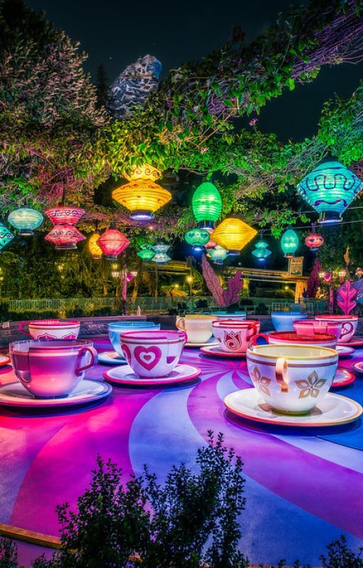 Disneywire Florida - Top 5 Things Related to Alice in Wonderland Disney World by Floridadisneywire