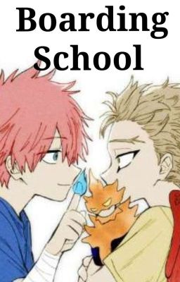 Boarding School| Dabi x Hawks cover