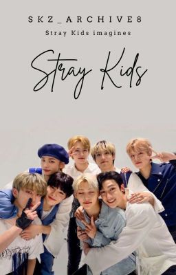 Stray Kids One Shots || skz ot8 cover