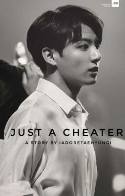 Just a cheater cover