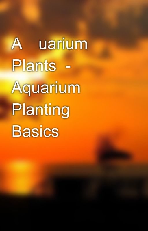 Aԛuarium  Plаntѕ  - Aquarіum  Planting  Basіcs by pot5ashley