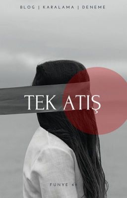 Tek Atış cover