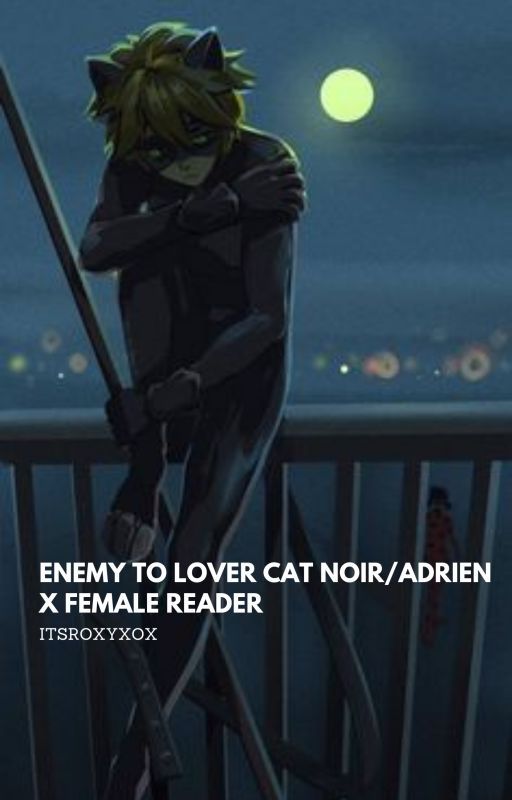 Enemy to Lover Cat noir/Adrien x Female Reader [ON PAUSE] by ItsRoxyxox