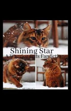 Shining Stars - Warrior Cats Fanfiction  by Stevie131