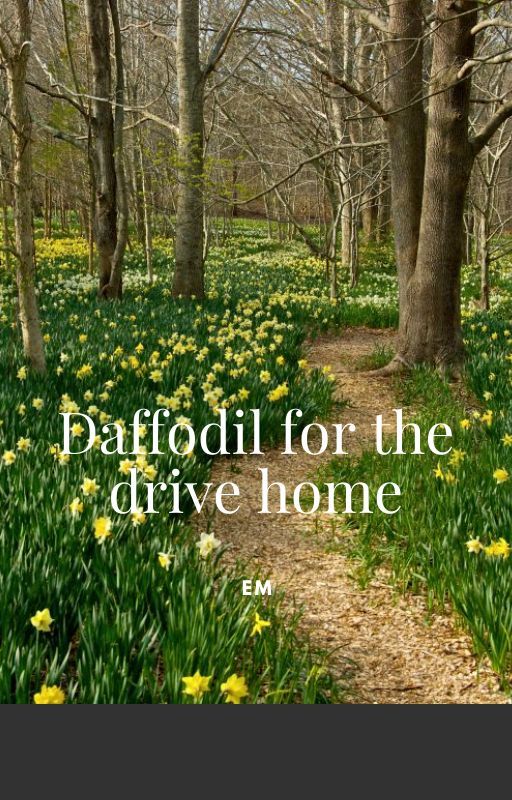 daffodil for the drive home by ems_writting