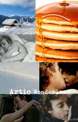 Arctic Wonderland cover