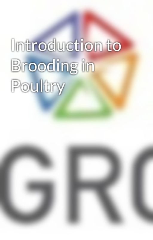 Introduction to Brooding in Poultry by sbgroupnepal1458