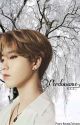 Perdoname... Han Jisung x TN  by AnneJohnson18