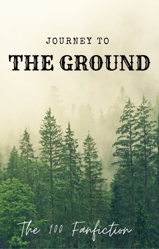 Journey to the Ground (The 100 x Reader) by silivretowlen