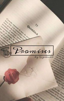 Promises | Minsung cover