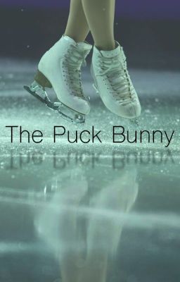 The Puck Bunny cover