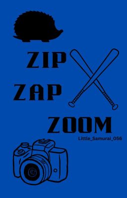 Zip Zap Zoom ʚɞ Sonic the Hedgehog cover