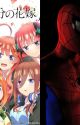 Welcome To the Web (Quintessential Quintuplets X Male Reader) by SithLordSpider-man