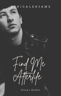 Find Me Afterlife cover