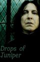 Drops of Juniper (Discontinued, Rewrite On My Profile) by FatalDestiny5869