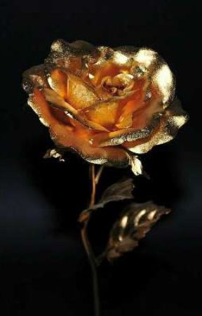 The Golden Rose  by _I_am_dumb_