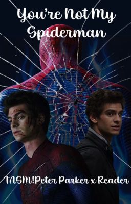 You're Not My Spiderman | TASM!Peter Parker x Reader cover