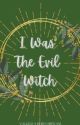 I Was The Evil Witch by VallinWan