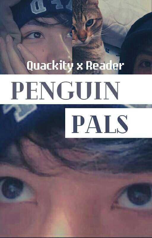 Penguin Pals 🐧| Quackity x Reader  by Maehem_The_Misfit