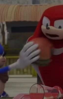 Sonic x knuckles smut  cover