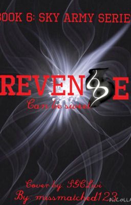 Revenge: Book 6 to the Sky Army Series cover