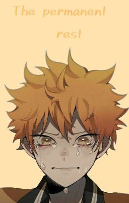 𝕋𝕙𝕖 𝕡𝕖𝕣𝕞𝕒𝕟𝕖𝕟𝕥 𝕣𝕖𝕤𝕥 || Haikyuu x Male!Reader cover