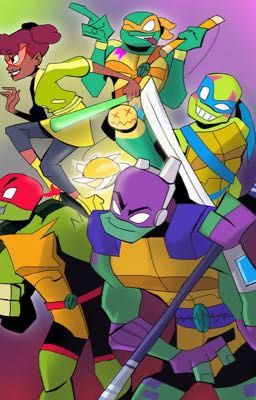 ROTTMNT x Reader Oneshots  cover