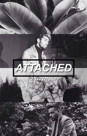 attached ≫ ziam by zrizzyzrake