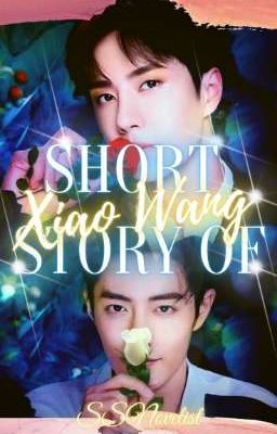 Short Story of XiaoWang cover