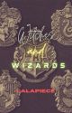 Witches and Wizards (One Piece Hogwarts) - DISCONTINUED by lalapiece