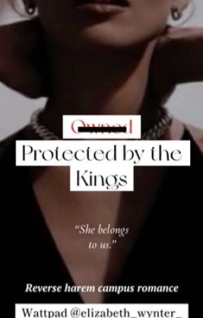 Protected by the kings (RH campus romance) by elizabeth_wynter_