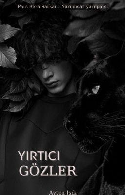 YIRTICI GÖZLER cover