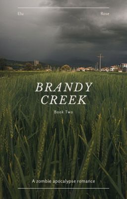 Brandy Creek (Book Two Completed) cover