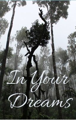 In Your Dreams cover