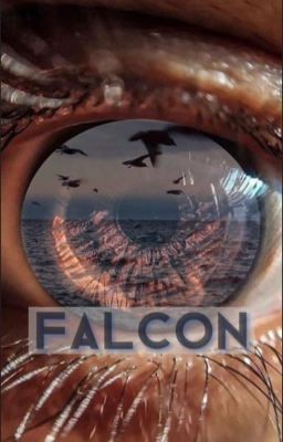 Falcon|сокол cover