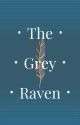 The Grey Raven // Bucky X Oc (Discontinued For Now) by smilingghost11