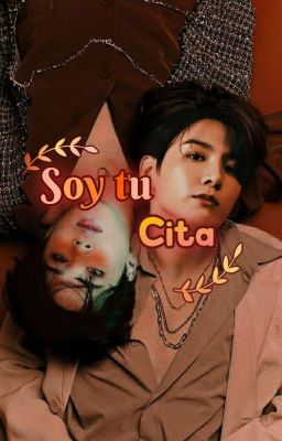 SOY TU CITA|• KOOKMIN  cover