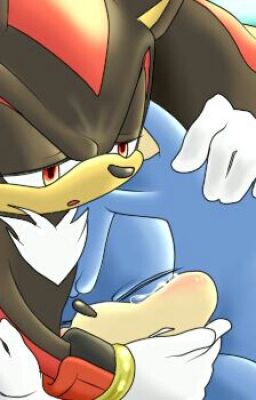 Sonadow the lost prince cover