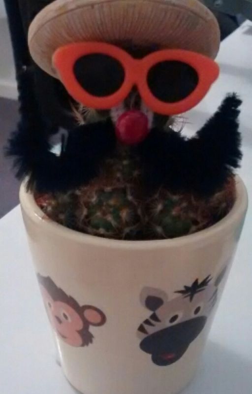 Colin the cactus by sophbearxox