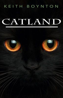 Catland - a humorous fantasy cover