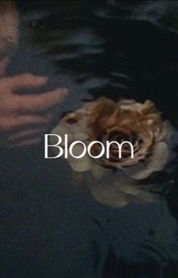 Bloom cover