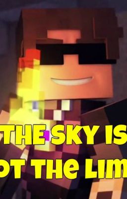 The Sky is Not the Limit cover