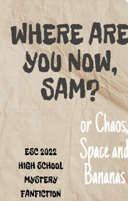 Where Are You Now, Sam? or Chaos, Space and Bananas (ESC 2022 FANFIC) cover