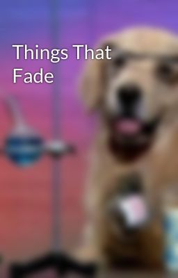 Things That Fade cover