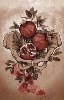 pomegranate cover