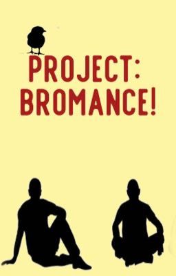 Project: Bromance! cover